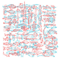 Fish Line