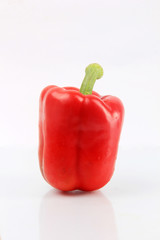 paprika with a white background