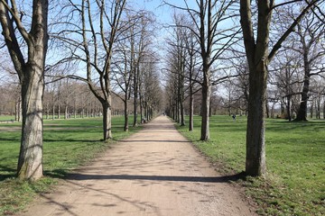 Schlosspark Pillnitz, Schloss Pillnitz, Frühling, März, 2019