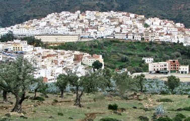 Fototapeta na wymiar Morocco; panorama view of Moulay Idriss