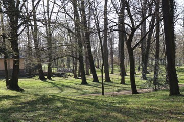 Schlosspark Pillnitz, Schloss Pillnitz, Frühling, März, 2019