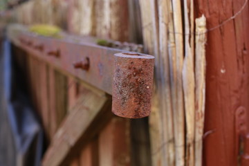 garden fence