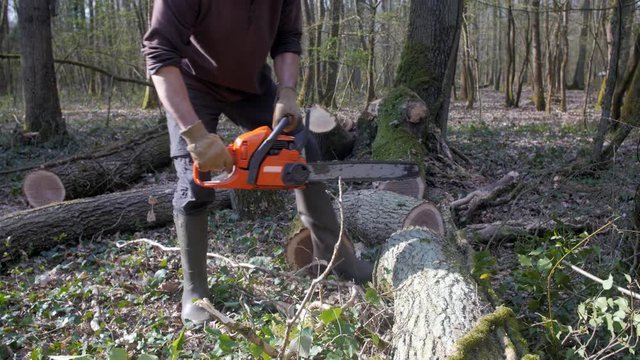 Un homme  b&ucirc;cheron coupe une grume de ch&ecirc;nes avec une tron&ccedil;onneuse thermique