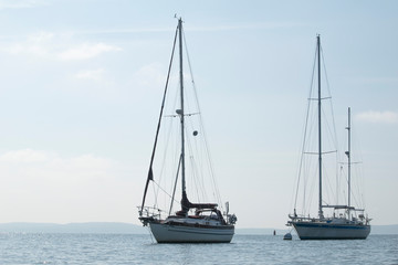 Fototapeta na wymiar sailboats on the water