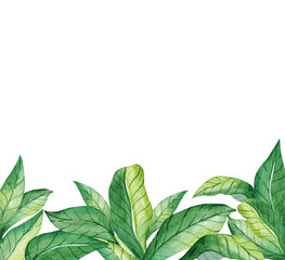 Hand-painted watercolor set. Poster with green leaves