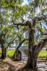 Boardwalk at Crews Lake Wilderness Park, Springhill, Florida