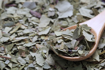 (Herb) Image of mate 