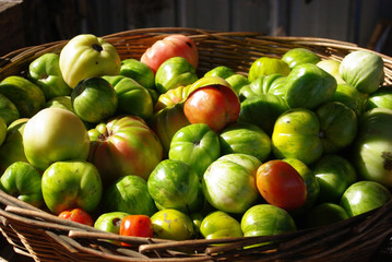 green tomatoes in a basket