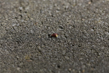 unknown object