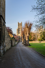 Pathway and Ely Cathedral on sunset, England