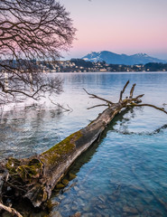 Scenic landscapes along the shores of Lake Lucerne (Vierwaldstattersee), Lucerne (Luzern), the...