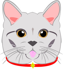 vector image of cute cat
