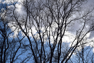 Autumn landscape with a pond in the steppe.
