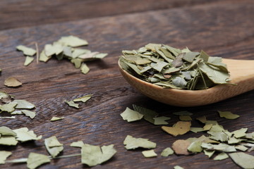 (Herb) Image of mate 