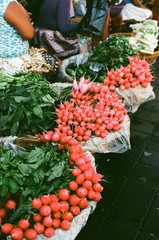 Radish in Salvador (film). 