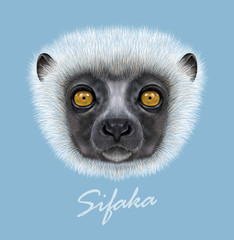 Coquerel's Sifaka Lemur wild animal face. Vector African Madagascar cute dancing lemur head portrait. Realistic fur portrait of Sifaka Lemur isolated on blue background. © ant_art19