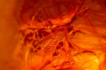 Amazing view of the cut orange pumpkin from the inside, close-up