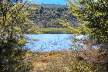 Fototapeta na wymiar Lake Mistletoe in Southland, South Island, New Zealand