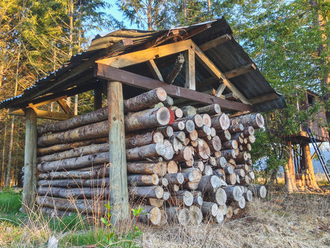 Pile Of Wood Logs Under Shelter In New Zealand