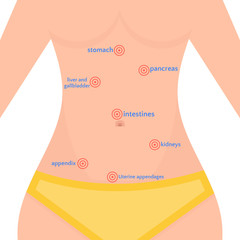 Types of abdominal pain in women, location of pain in the human body, woman health vector illustration
