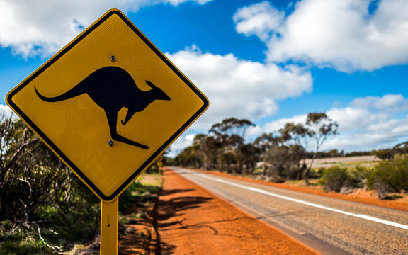 Kangaroo Sign