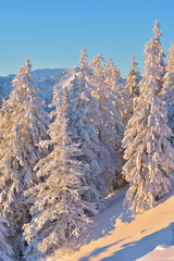 Winter snowy landscape, Postavaru Brasov, Romania. Mountain Landscape