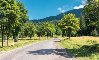 road though countryside in mountains. trees along the way. wonderful sunny day