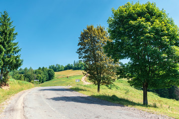 Fototapeta na wymiar road though countryside in mountains. trees along the way. wonderful sunny day