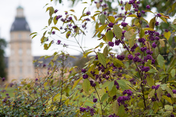 Karlsruhe Park im Herbst