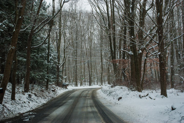 winter road