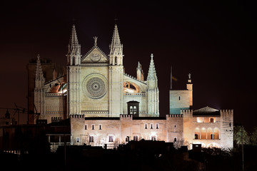 Palma de Mallorca cathedral illuminated on the night