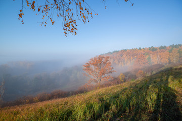 Fototapeta premium Foggy beautiful morning