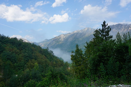 Montagne brouillard