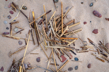 pieces of dry rushes in the sand of the seashore; sea stones of various sizes and colors in composition with parts of rushes; background from natural elements in sand