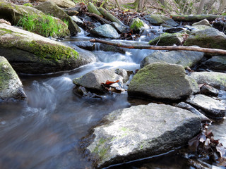 Wasser Bach Wald Weiches Wasser #2