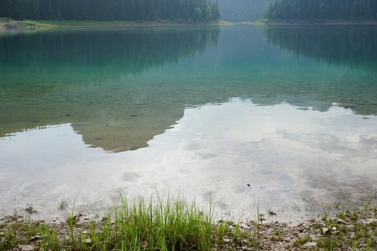 lac
