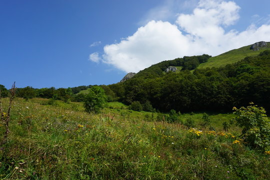 campagne en montagne