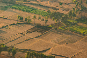 Top view of the agricultural land