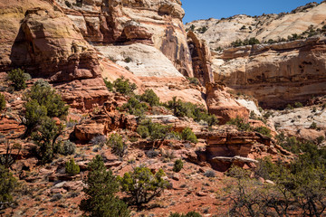 Red Rocks of Lower Calf Creek Falls