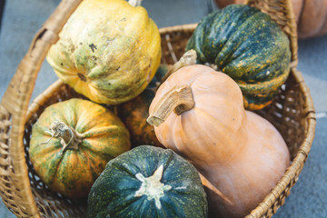 Autumn rustic still life - different colourful pumpkins in a basket, selective focus