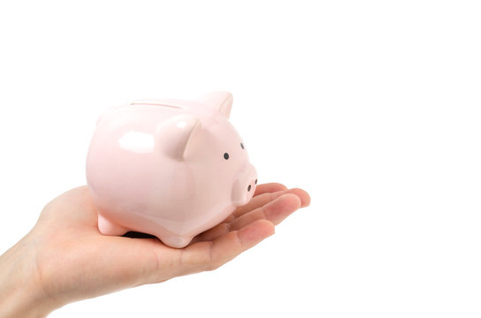 Pink piggy Bank on the palm.White background.