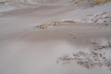 The white sands of the seashore in the dunes are wind-leveled in the light squares