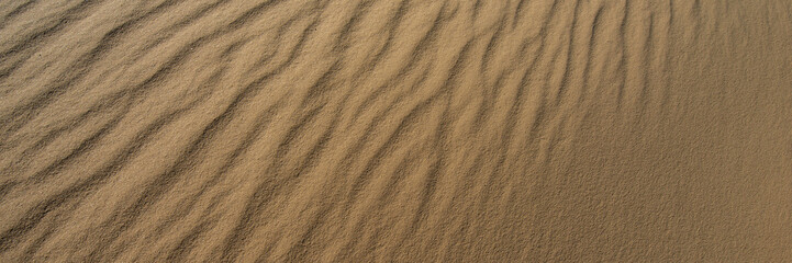 Fototapeta na wymiar wavy sand surface in the dunes on a sunny day, close-up. Web banner.