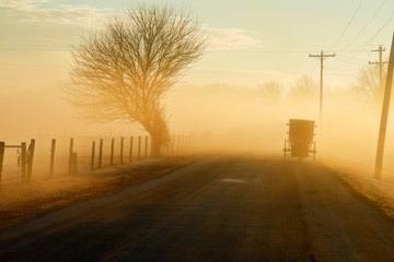 Amish Buggy in Morning Fog