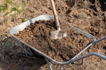 Wheelbarrow and spade in the garden. Cleaning works in the garden by single-family houses.