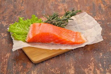 Piece of raw salmon