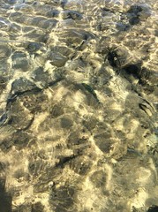 surface of water