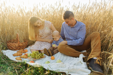 Young family with a small son having picnic in the field