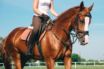 Obraz premium Girl riding a red horse