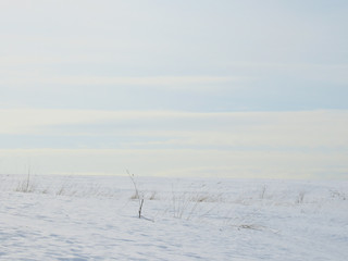 winter minimalistic landscape